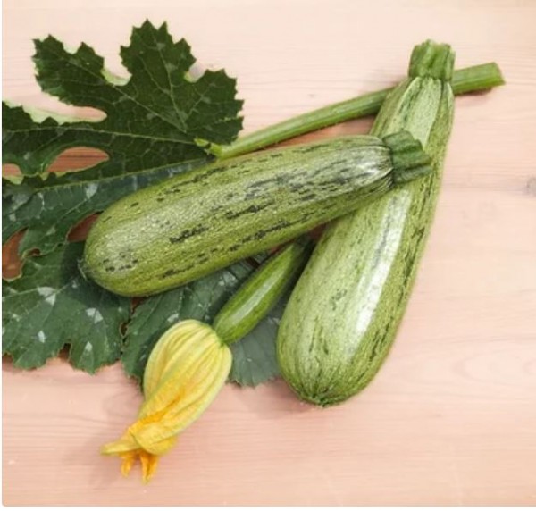 Zucchini Caserta