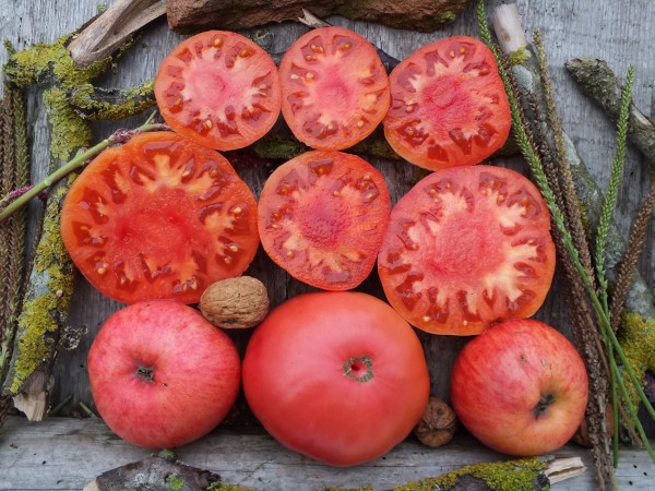 Schlesische Himbeere Fleischtomate-reduziert